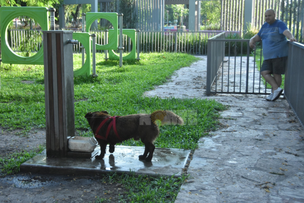 Foto: Jorge "Punky" Flores.