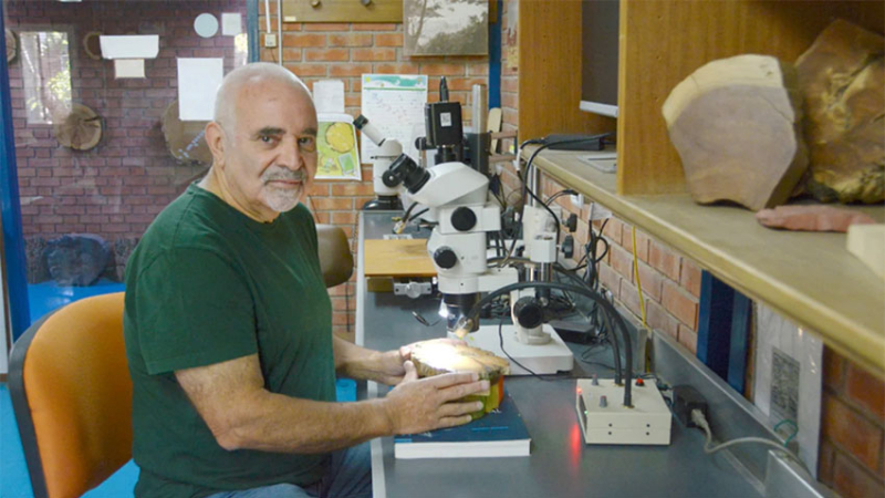 Investigador del Conicet fue incorporado a la International Academy of Wood Science