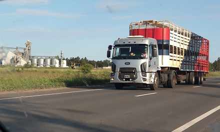 RURAL-4-camion-jaula-vacas.jpg