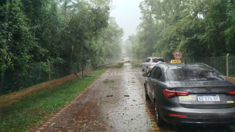 Un fuerte temporal azoto a Puerto Iguazú en los circuitos de Cataratas y en la ruta 101