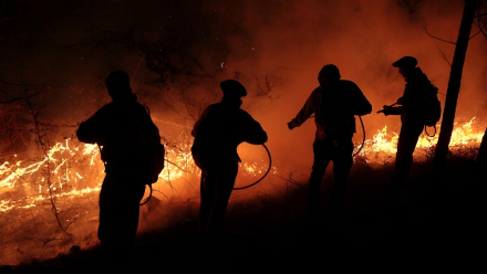 incendios.jpg