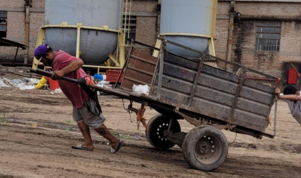traccion sangre humana 1.jpg