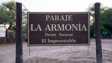 ALGARROBA3.jpg