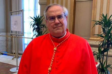 cardenal-angel-rossi-cordoba.jpg