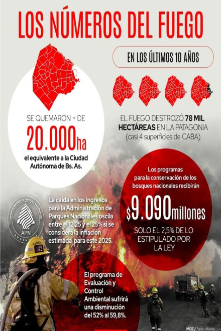 brigadistas05.jpg