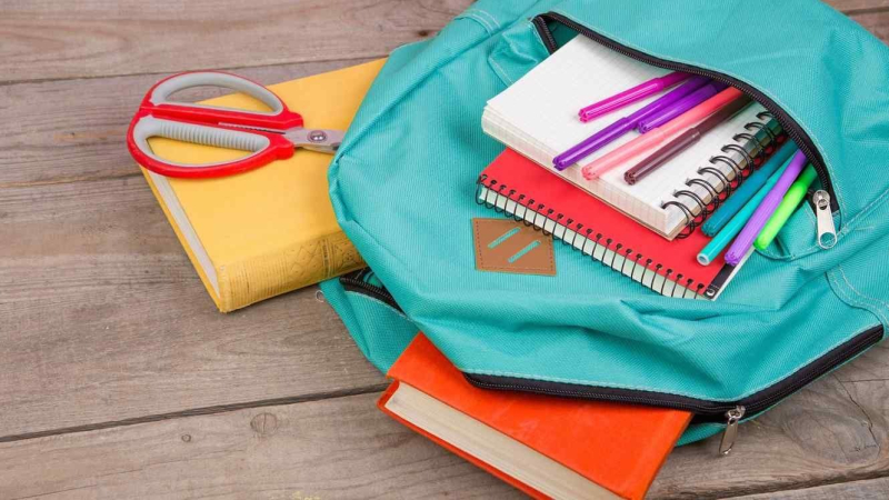 Conocé el procedimiento para acceder a la Ayuda Escolar Anual
