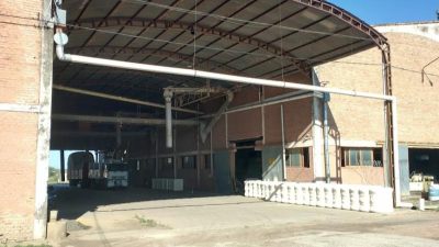 Con buenas expectativas, comenzó la cosecha de algodón en el departamento General Güemes