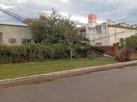 polis dos.jpg