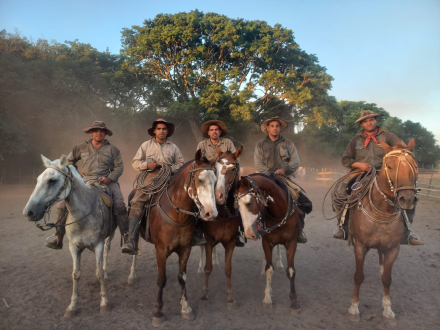 vacas4.jpg