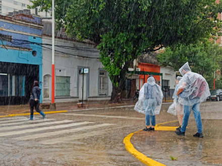 LLUVIA 02.JPG