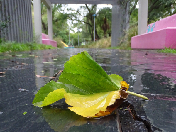 Foto: Fabian Maldonado.