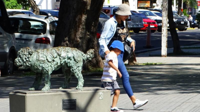 Calor extremo: "Es posible disminuir la temperatura hasta en 20 grados"