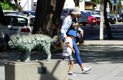 Calor extremo: "Es posible disminuir la temperatura hasta en 20 grados"