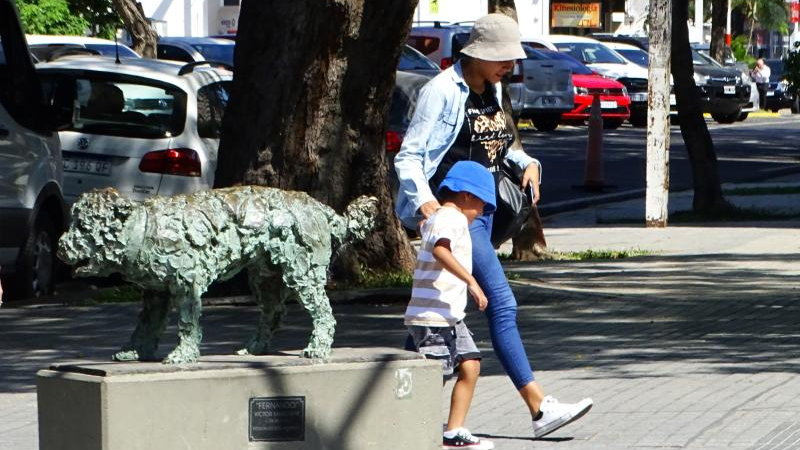 Calor extremo: "Es posible disminuir la temperatura hasta en 20 grados"