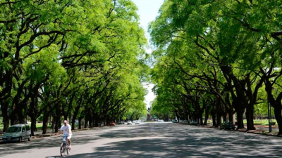 Buenas prácticas para la gestión del arbolado urbano, en la UNNE