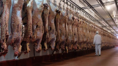 Echaron a 40 trabajadores en un frigorífico de Azul
