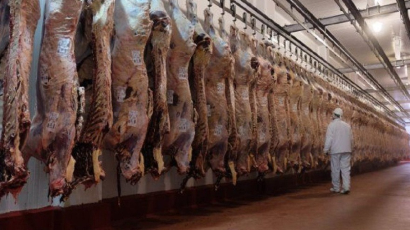Echaron a 40 trabajadores en un frigorífico de Azul