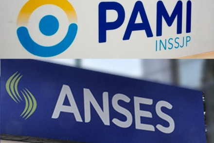 pami anses.jpg