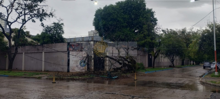 temporal 5.jpg