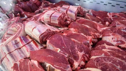 carne.jpg
