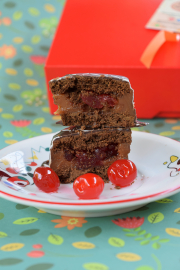 FOTOALFAJOR2 (1).JPG