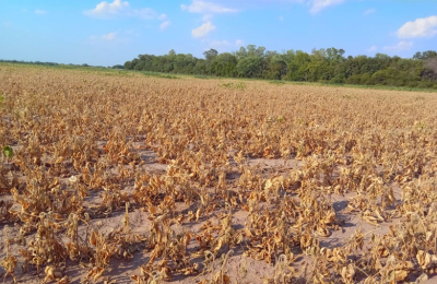 El departamento de Almirante Brown en una bisagra productiva
