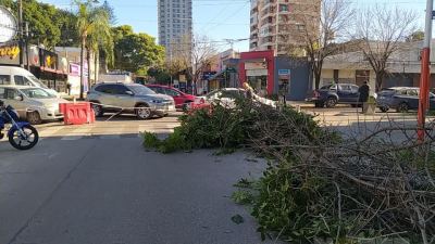 Caos en el tránsito de Resistencia: la poda de árboles complica la circulación en horas pico