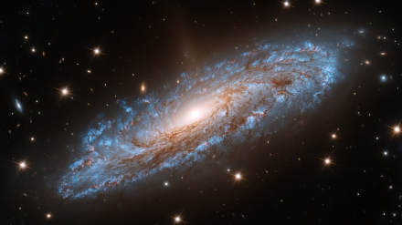 supernova04.jpg