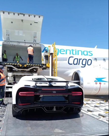 auto Bad Bunny 1.jpg