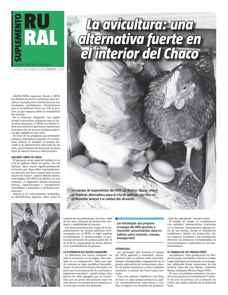 La avicultura: una alternativa fuerte en el interior del Chaco