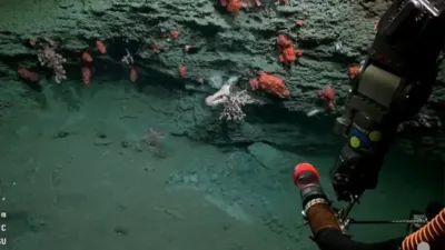 Hasta cuándo se puede ver el streaming del Conicet en el fondo del mar
