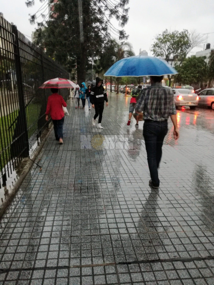 Lluvia.jpeg