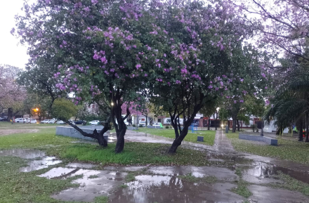 lluvia.jpg
