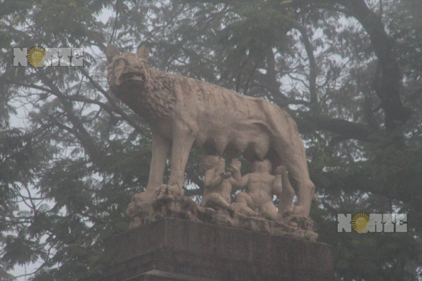 Bajo un manto de neblina