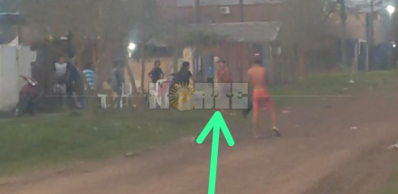 palos cuatro.jpg