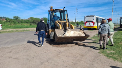Caballo suelto, nuevamente protagonista de un siniestro vial