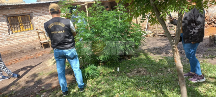 abuelita tres.jfif