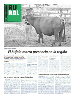 El búfalo marca presencia en la región