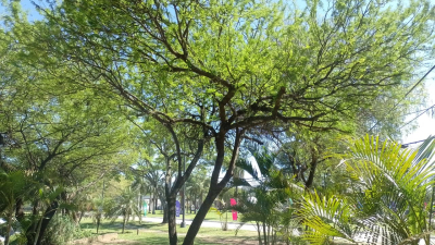Fin de semana largo a pleno sol en Resistencia