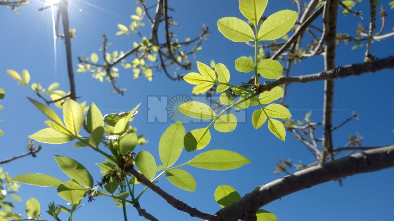 Temperaturas templadas y lluvias débiles marcan el inicio de la semana