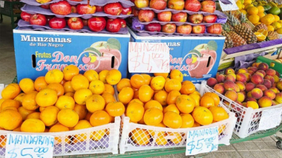Las frutas prohibidas: cada vez es más difícil el acceso para las familias chaqueñas