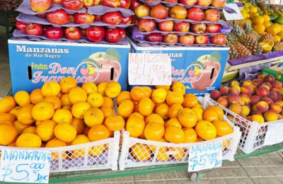 Las frutas prohibidas: cada vez es más difícil el acceso para las familias chaqueñas