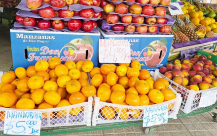 fruta.jpg