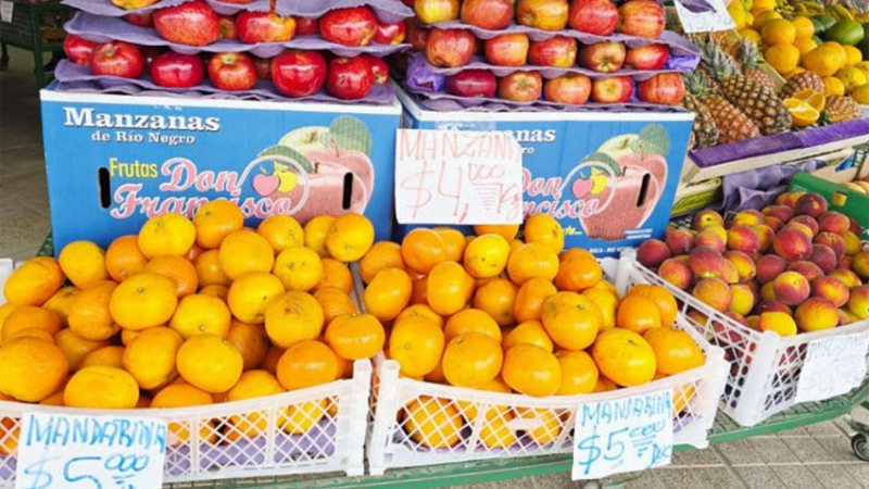 Las frutas prohibidas: cada vez es más difícil el acceso para las familias chaqueñas