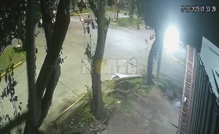 WhatsApp Image 2025-11-17 at 11.58.44.jpeg