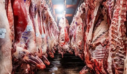 carne.jpg