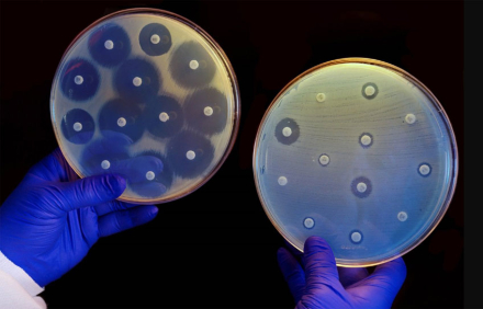 antibioticos2.jpg