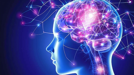 neuro.jpg