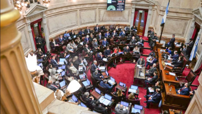 Reforma laboral: el Senado acelera el debate con posturas contrapuestas de los chaqueños