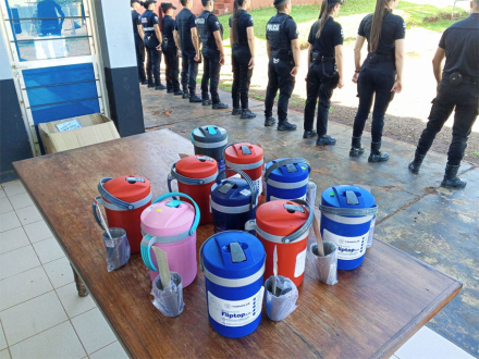 terere3.jpg